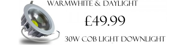 30 W COB light downlight 